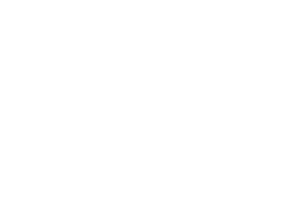 Logo Themis Partner Francais