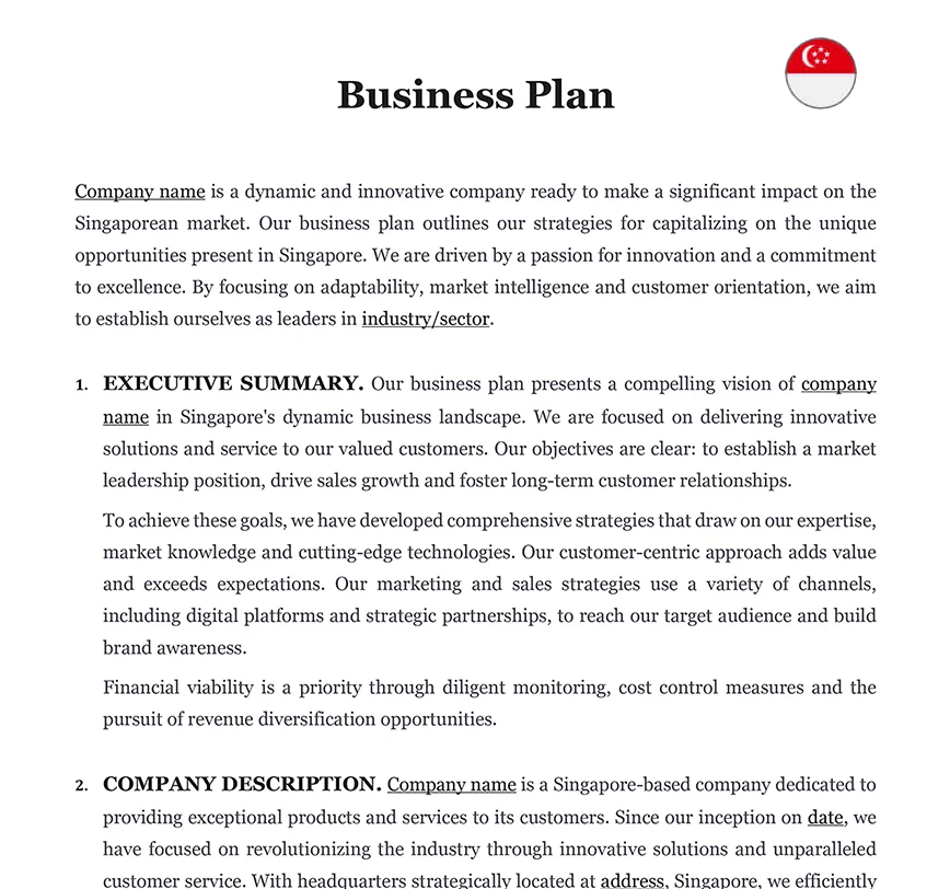 Business plan Singapore