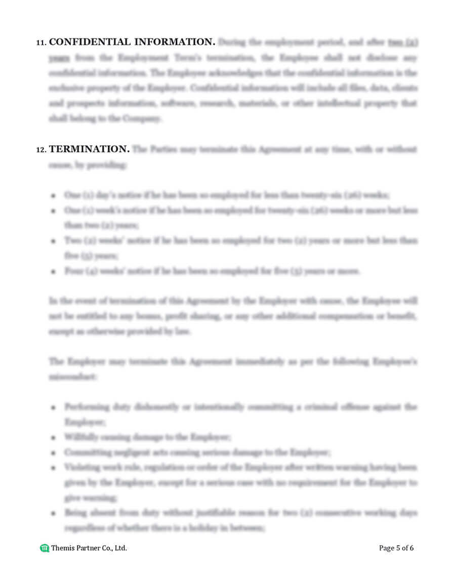 Employment agreement preview 5