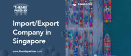 Import/Export business in Singapore