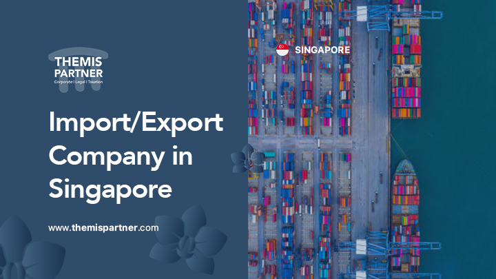 Import/Export business in Singapore